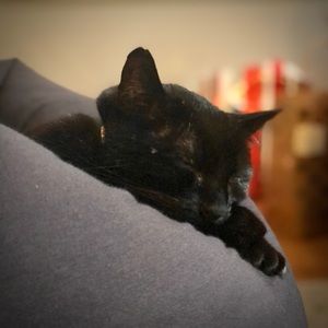 Meet your Posher, Natalie